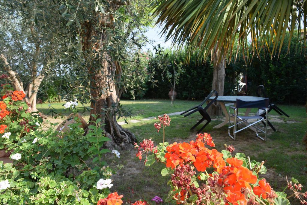 Uliveto Terme La Convenienza Bed & Breakfast エクステリア 写真