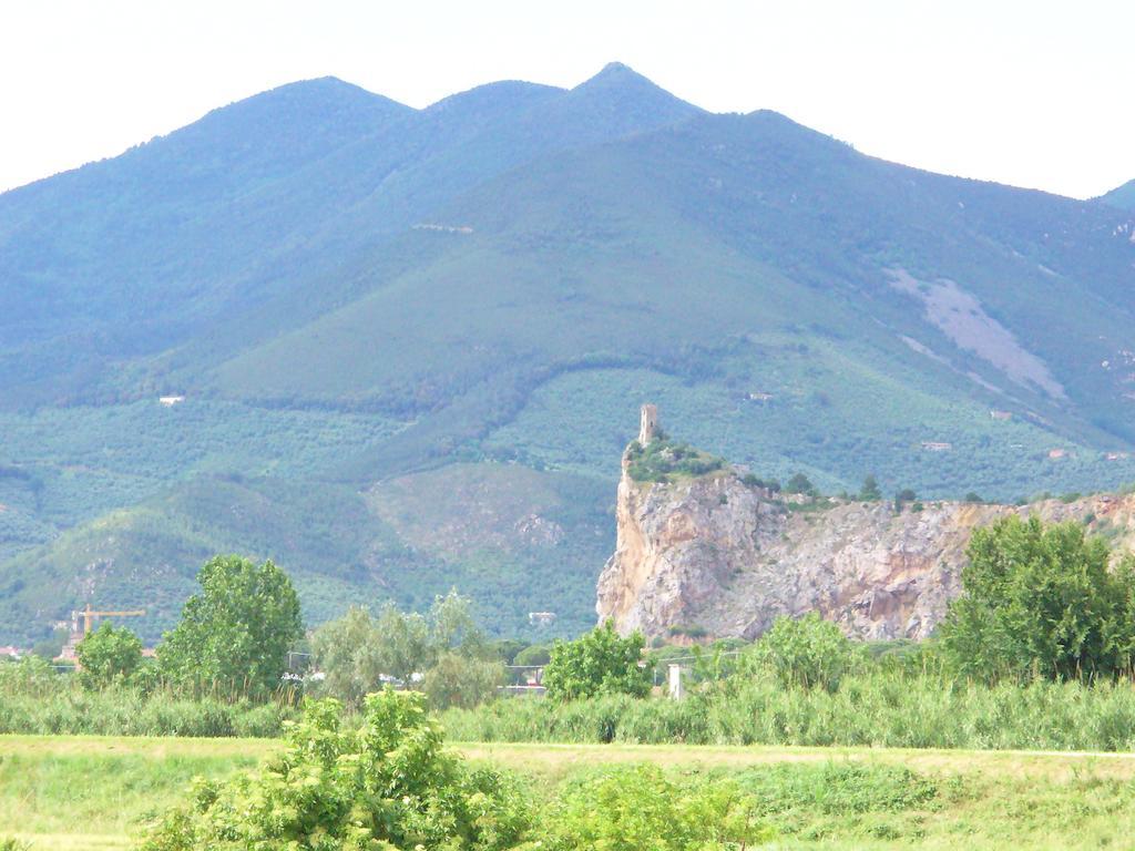 Uliveto Terme La Convenienza Bed & Breakfast エクステリア 写真